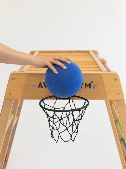 Little Basketball Hoop