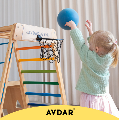 Little Basketball Hoop