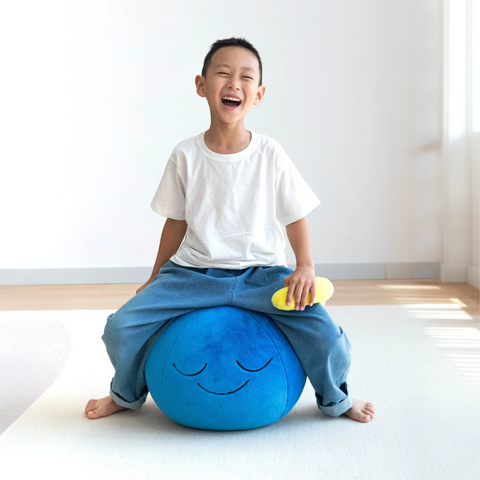 Ommy plush training ball